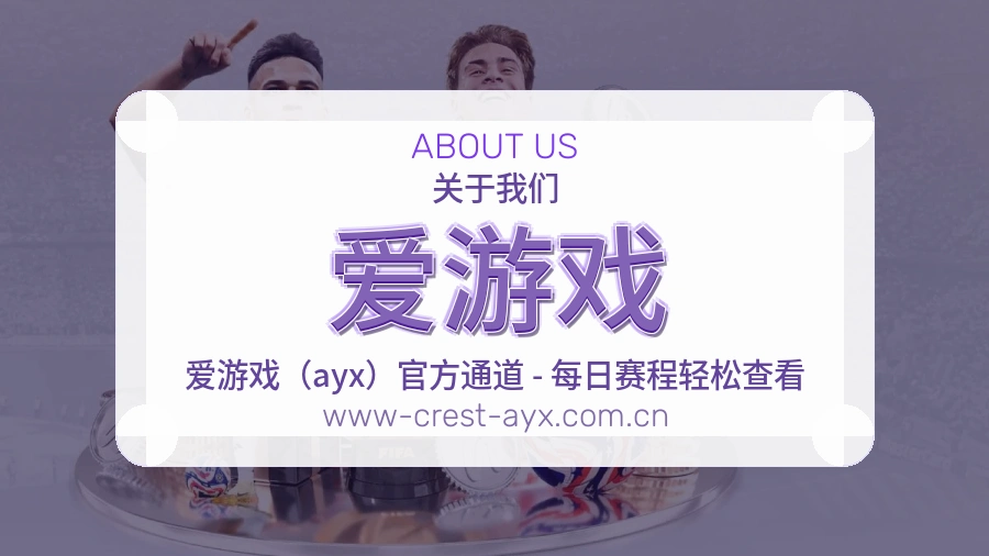 爱游戏用户支持服务说明